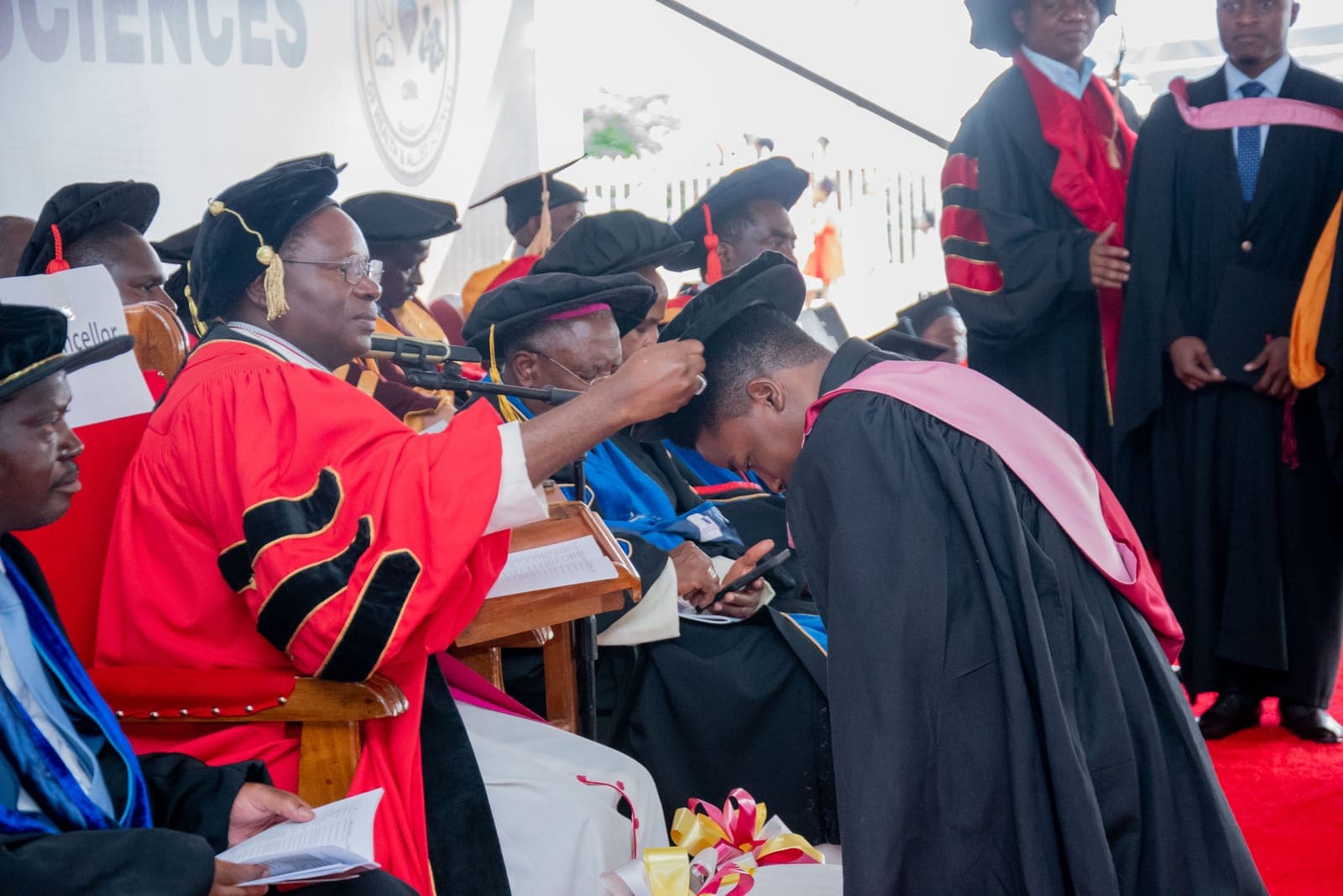 Graduation day, gowns and caps